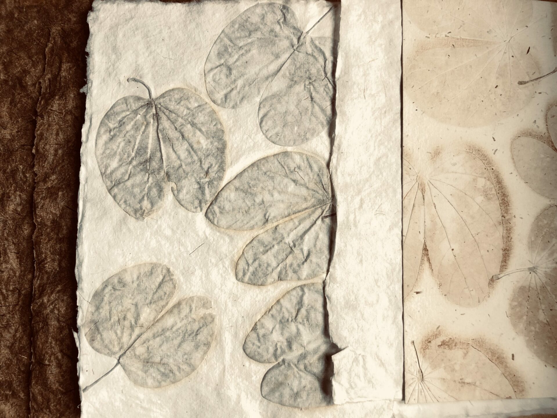 Worried about trees? You can take notes on stone paper made from