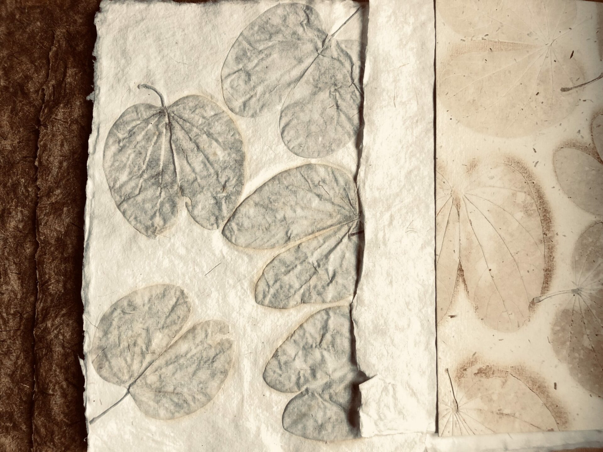 Plant to Paper: The process of making Handmade paper - Lost in Colours